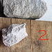 1: Sandstein-Kalk aus der weissen Wand: 54% Kalk-Gehalt<br />2: Wetterkalk aus der gleichen Wand, ca. 1 m darüber: 71-77% Kalk-Gehalt<br />3: Wetterkalk aus dem Bachbett an der Stufe mit Einschlüssen: 75% Kalk-Gehalt