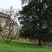 Schloss Sulzberg