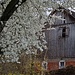 C'est le printemps à Untereggen