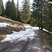Erst fuhr ich mit dem eBike den Alpweg hoch bis auf 1650 m ü. M. Ab dort lag Schnee und ich konnte mit dem Bike nicht weiterfahren.