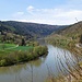 Neckar bei Zwingenberg
