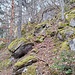 Für den Schwarzwald typische Halden. In den Wäldern versteckt sich mehr Fels, als man erahnen würde.