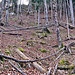 Wichtiges Bild, hier nach rechts zum Waldsteig, wer das verpasst findet den Zustieg zur Haselrinne nicht.