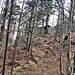Rückblick zur 2. Jagdhütte.