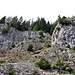 Ab jetzt Felsen  rechterhand.