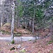 Am Ende der Forststrasse von Scharnitz angekonnen mit Rastbank.