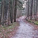 Gemütlich nach unten.