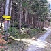 Abzweig in den Ort und zur Porta Claudia.