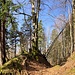 schönes wegloses Gelände am Schneidberg