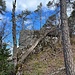 Der Gipfelaufbau Müleberg lädt zum Kraxeln ein, wobei die beiden toten Bäume allerdings störend sind