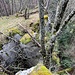 Auf dem abwechslungsreichen Langenberg-Grat 4: spannende Felsabbrüche