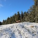 auf dem Stallauer Eck