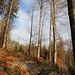 Schlußaufstieg
