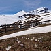 Krokusblüte bei der Alp Mursenas.