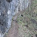 Gesicherter Abschnitt unter einer Felswand kurz vor Wissifluh.