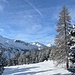 Schneelandschaft