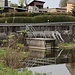 Einmündung des Kunstgrabens in den Dittmannsdorfer Teich