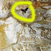 Leider habe ich mit meinem Besuch der Höhle eine Fledermaus gestört welche dann in der Höhle ihre Runden flog.