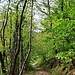 Die letzten Felsen waren dann schnell überwunden und am Ende des Mohrenkopfgrats angelangt, fanden wir uns prompt auf dem Leo-Ley-Weg wieder. Ein bisschen unentschlossen waren wir allerdings, weil unsere Ideen damit eigentlich aufgebraucht waren, wir aber noch ordentlich Tag übrig hatten. 