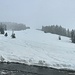 Überraschende Schneedecke