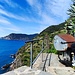 Lungo il tratto dei terrazzamenti 
