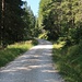 Auf endlosen Fahrwegen geht es dem Berg entgegen.