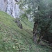 Unter einer markanten Felswand wendet sich der Steig scharf links.