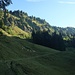 Zwischen Hirschberg und Ornach geht es mal durch Wald, mal durch Wiesen aufwärts.