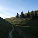 Unterwegs zum Hirschberg.