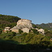 Castel di Luco 