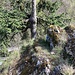 Das Gipfelbuch liegt etwas versteckt und hält schon fast 30 Jahre durch