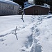 Bei der Alp Schwarzenegg lag stellenweise einen halben Meter Schnee!