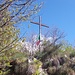 Croce di Cesara