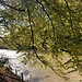 lauschiger Rastplatz vor Ziegelmatte und Lochbachschache