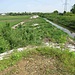 Torrente Bozzente e argine ribassato in corrispondenza della vasca di laminazione n° 2.