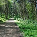 über den Holzbodenweg geht es hinauf nach Unterwienacht