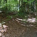 hier hört der Holzbodenweg auf und nun gehts auf dem Wanderweg weiter