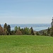 oben auf dem Hirschberg angekommen, die letzen ca. 200 Meter sind recht holprig über die Wiese.