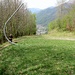 Una vecchia pista di sci verso Introbio, dove si vede Gimmy si devia a sinistra