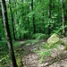 Abstieg auf schon bekanntem Pfad nach Eberbach 