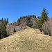 auf Zeitreisespur halten wir ab der Alp westwärts - und steigen auf diesem Rücken (meist) weglos ab in den Eselgrabe
