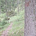 erste rote Markierung