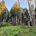 unbekannter Obermaierberg (638 m)