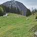 im Gras geht es eindeutig weiter