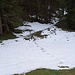erste Spuren im Schnee