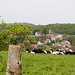 Trémoins *