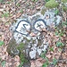 römischer Achter + Kreuz im Kreis