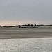 Die Baltrum-Fähre kommt recht nahe an die Ostspitze von Norderney heran. Dort sieht man deutlich ein altes Wrack am Strand liegen, das 1967 havariert ist.