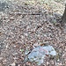 roter Pfeil im Schatten