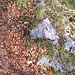 roter Pfeil im Sonnenlicht